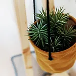 Apartman Sal Da Terra