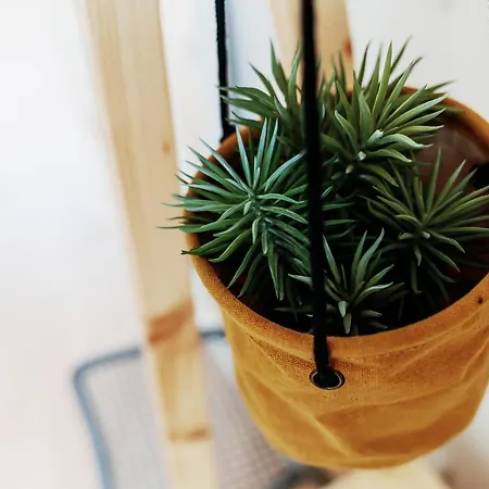 Apartamento Sal Da Terra