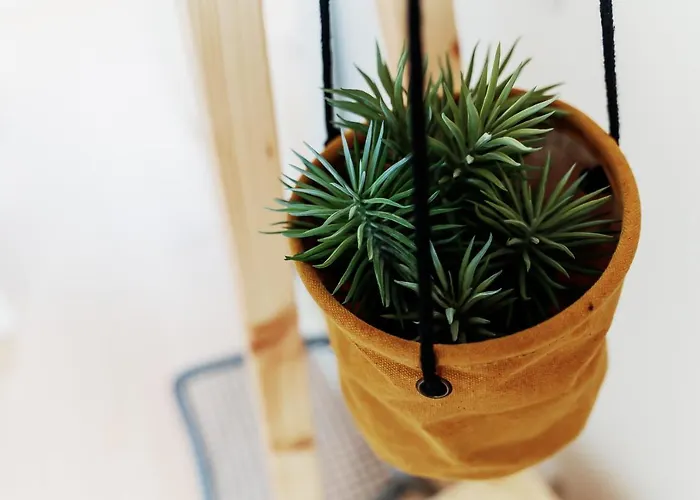 아파트 Sal Da Terra