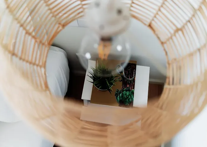 Sal Da Terra 나자레